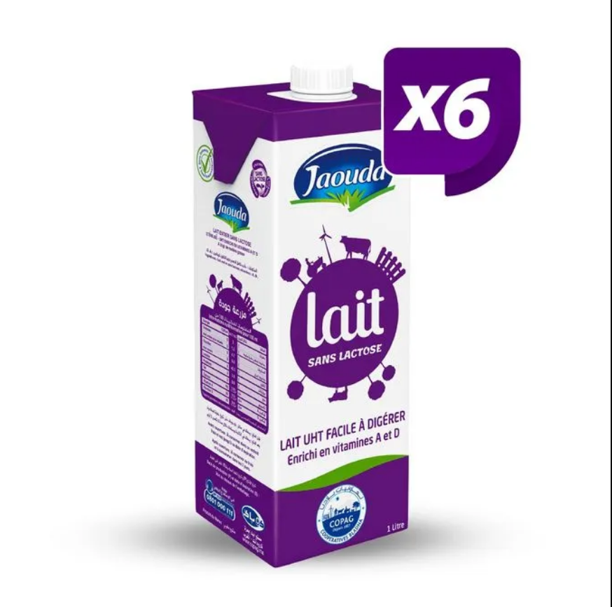 Lait Puleva sans lactose (1 L)