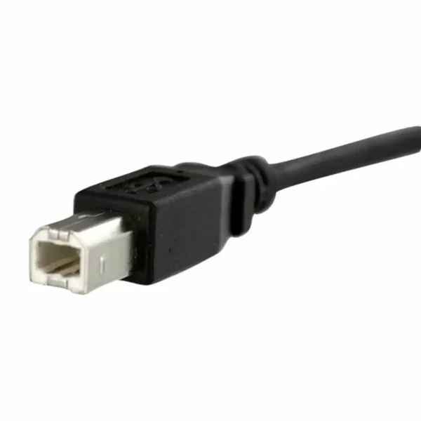 Cable usb startech usbpnlbfbm1 usb b noir_5280. DIAYTAR SENEGAL - L'Art de Choisir, l'Art de S'émerveiller. Explorez notre gamme de produits et laissez-vous émerveiller par des créations authentiques et des designs modernes.