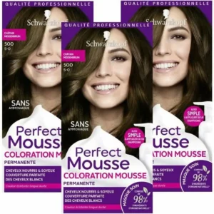 Teinture sans ammoniaque schwarzkopf perfect mousse brown no 500 3 unites_7200. Bienvenue chez DIAYTAR SENEGAL - Où le Shopping Devient une Aventure. Découvrez notre collection diversifiée et explorez des produits qui reflètent la diversité du Sénégal.