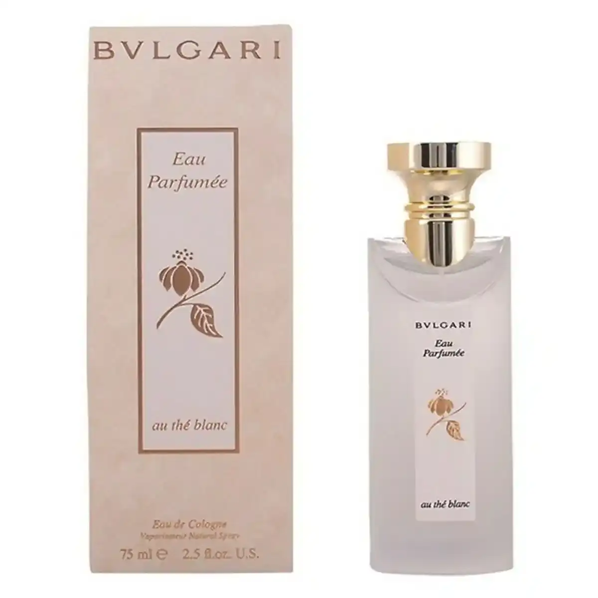 Parfum femme bvlgari au the blanc bvlgari edc_9216. DIAYTAR SENEGAL - Où Choisir Devient un Acte de Découverte. Découvrez notre gamme et choisissez des produits qui éveillent votre curiosité et élargissent vos horizons.