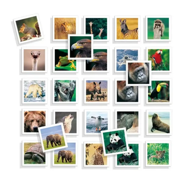 Jeu éducatif Diset Memo Photo Animales 54 Pièces. SUPERDISCOUNT FRANCE