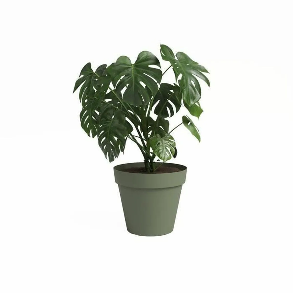 Cache pot artevasi capri vert o 40 cm s7101152835. Comparez, choisissez, économisez sur Diaytar Sénégal