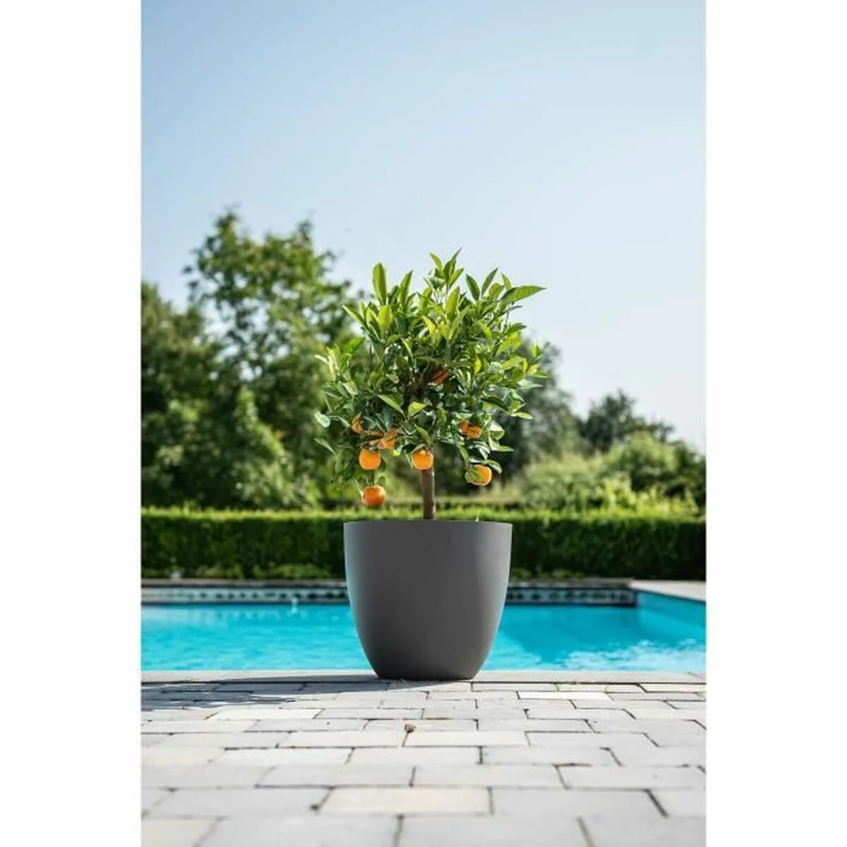 Cache pot garden id phoenix anthracite anthracite 48 x 42 cm s7101125240. L'alternative e-commerce intelligente au Sénégal : Diaytar