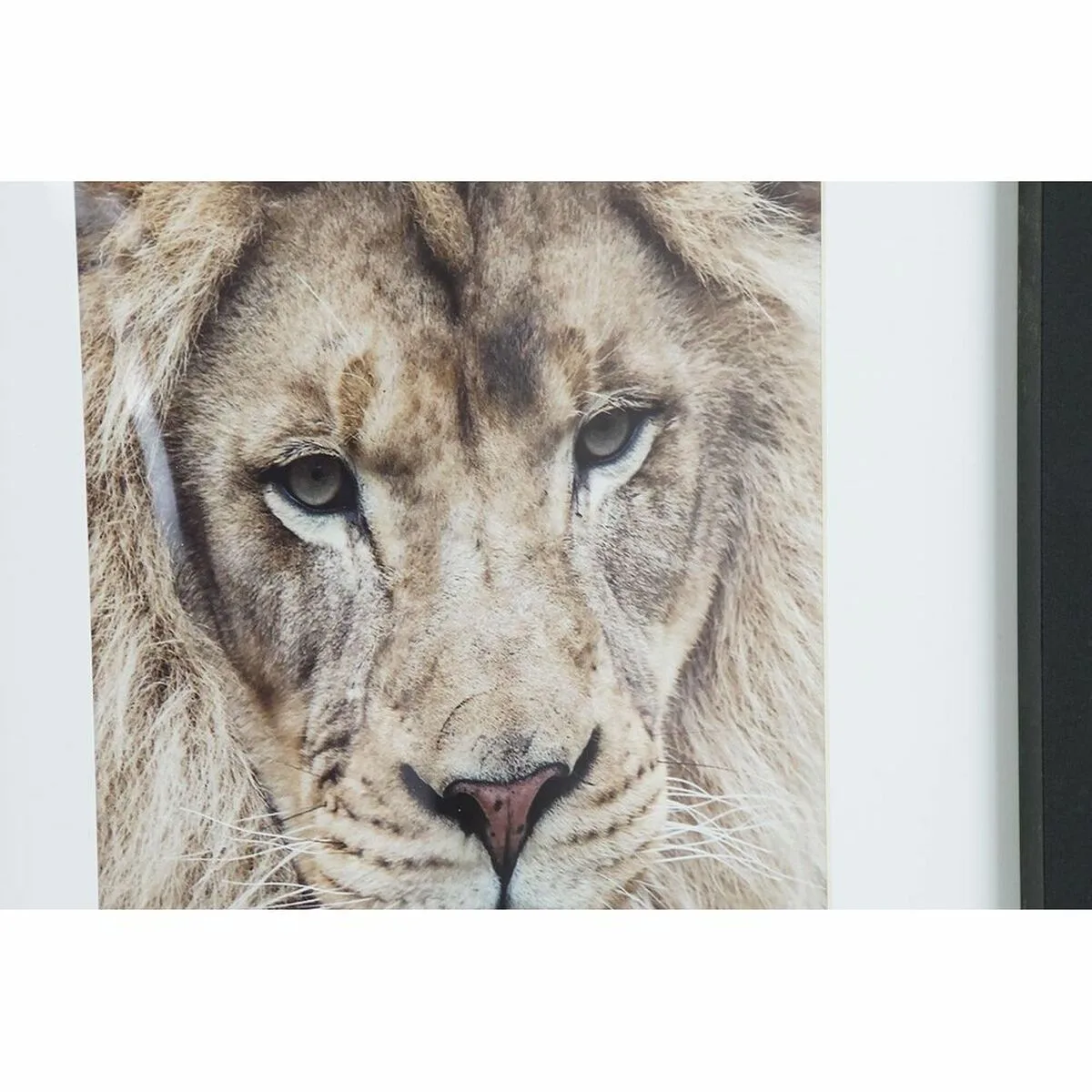 Cadre dkd home decor colonial jungle 35 x 2 5 x 45 cm 35 x 2 x 45 cm 4 unites s302847483. Diaytar : Où chaque achat est une victoire pour votre budget