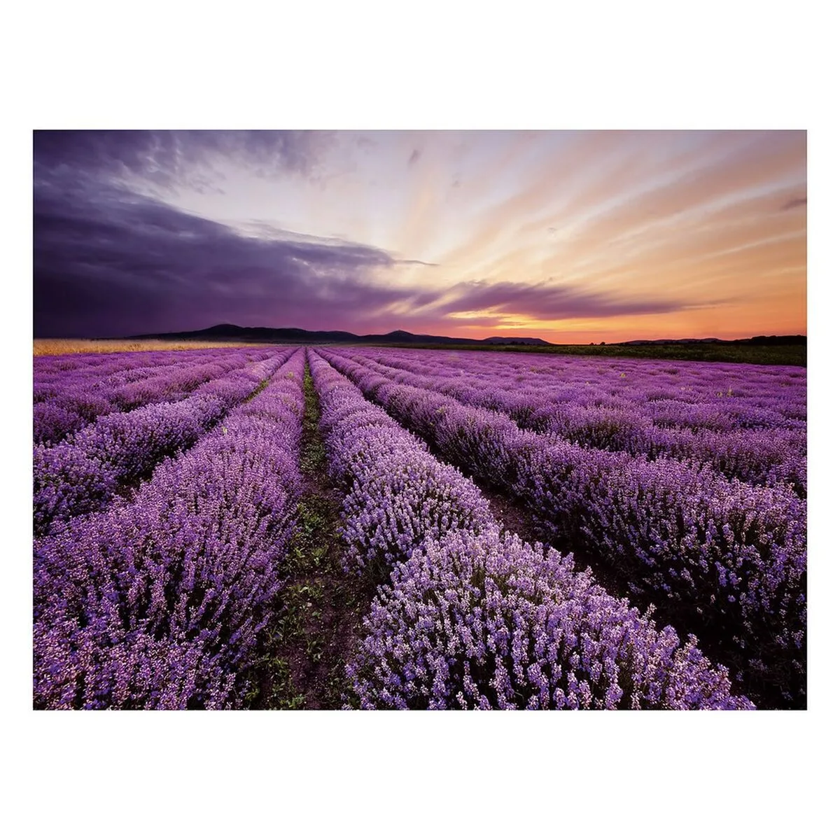 Cadre multicouleur 80 x 3 x 60 cm s880884597. Des économies substantielles vous attendent sur Diaytar