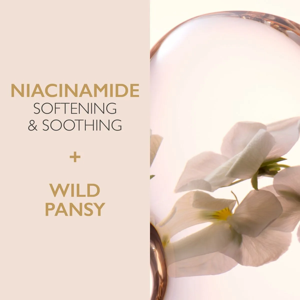 Creme visage lancaster cleansers 400 ml s059494445. Diaytar : Le premier choix des acheteurs avisés