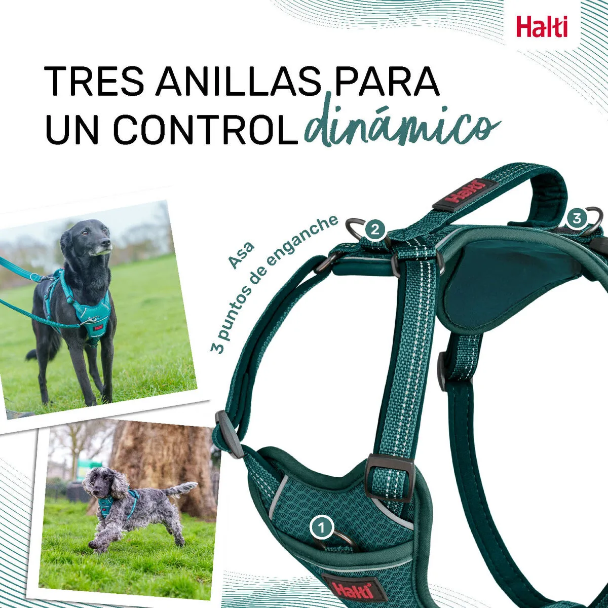 Harnais pour chien company of animals turquoise m 35 55 cm s610494292. Votre satisfaction, notre priorité chez Diaytar