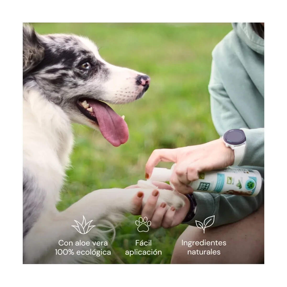 Lames menforsan s610503314. Gagnez du temps et de l'argent avec Diaytar