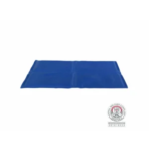 Matelas trixie bleu m060019212. Diaytar : Le choix malin des consommateurs sénégalais