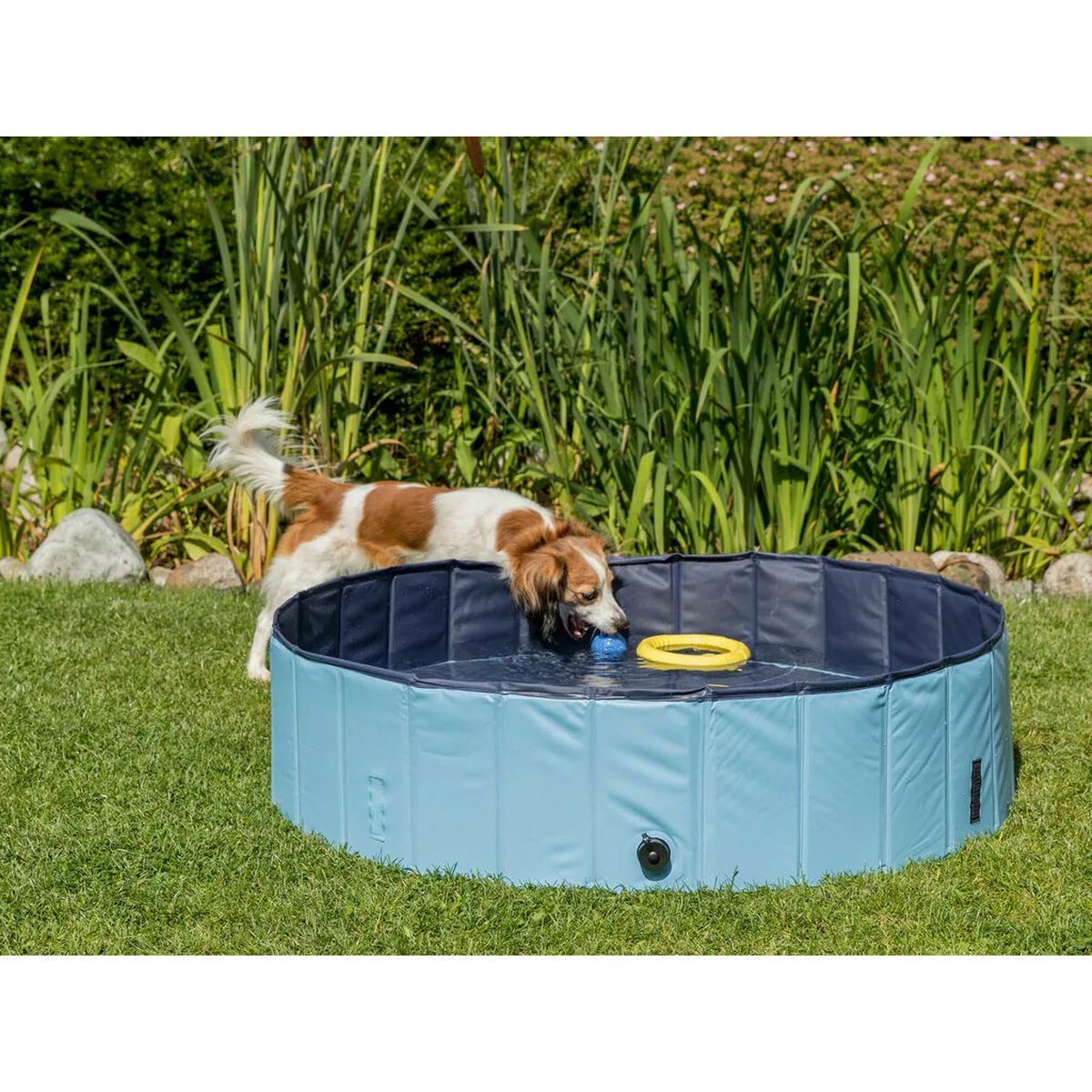 Piscine pour chiens trixie bleu clair o 70 x 12 cm m060453170. Révolutionnez votre façon d'acheter avec Diaytar
