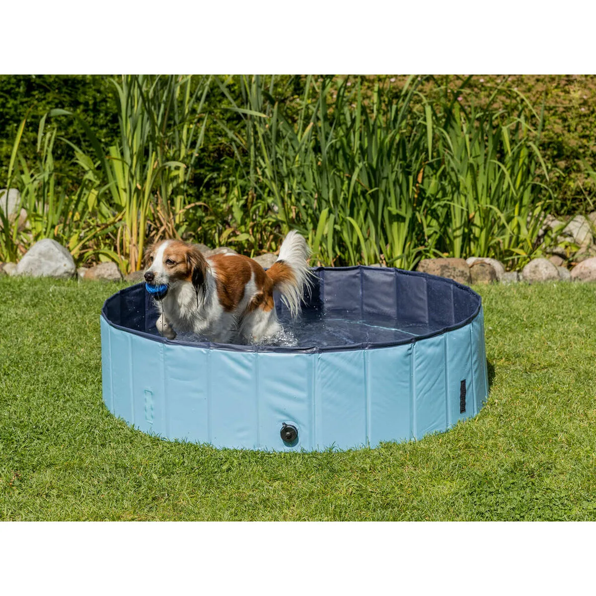 Piscine pour chiens trixie bleu clair o 70 x 12 cm m060453179. Commandez malin, vivez mieux avec Diaytar