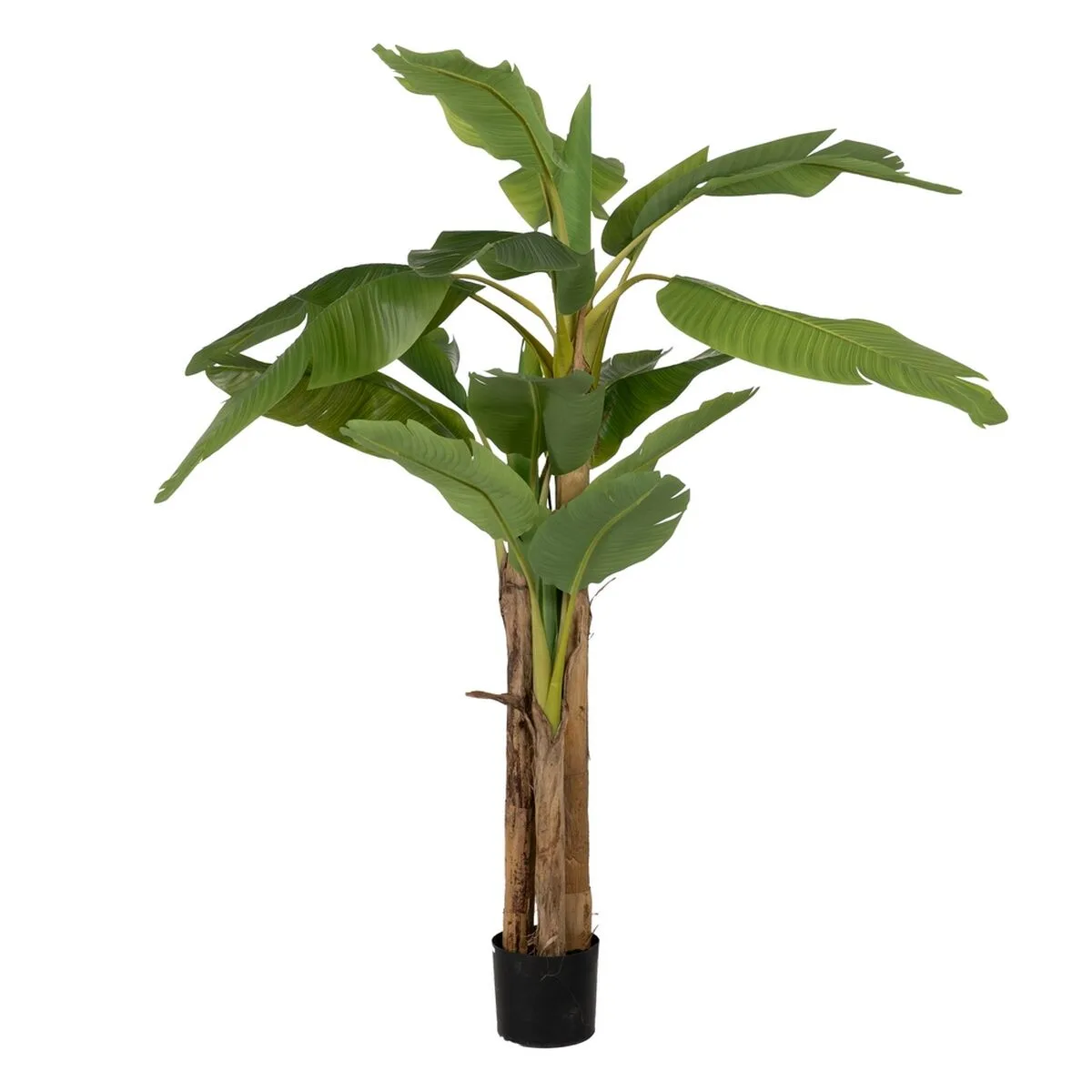 Plante decorative caoutchouc bananiere 70 x 70 x 200 cm s880775191. Un océan de bonnes affaires sur Diaytar Sénégal