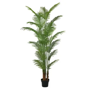 Plante decorative polyurethane ciment areca 210 cm s870073382. La plateforme e-commerce qui démocratise la consommation : Diaytar