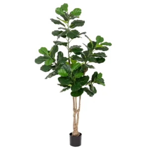 Plante decorative polyurethane ciment ficus 175 cm s870074347. Diaytar : Là où commence votre expérience shopping idéale