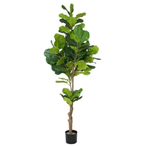 Plante decorative polyurethane ciment ficus 200 cm s870074451. Diaytar : Où vos envies rencontrent votre budget