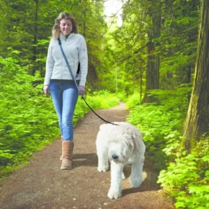 Sangle kurgo quantum bleu nylon s7101056674. Diaytar : Le e-commerce qui respecte votre budget