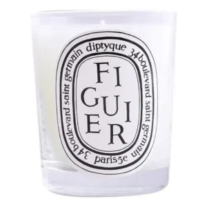 Bougie parfumee diptyque scented candle 190 g_8683. DIAYTAR SENEGAL - Où la Tradition s'Harmonise avec le Moderne. Parcourez notre gamme diversifiée et choisissez des produits qui révèlent l'âme du Sénégal.
