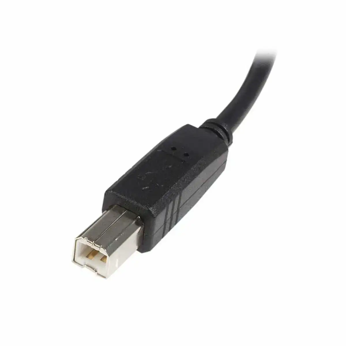 Cable usb a vers usb b startech usb2hab3m noir_1416. DIAYTAR SENEGAL - Votre Oasis de Shopping en Ligne. Explorez notre boutique et découvrez des produits qui ajoutent une touche de magie à votre quotidien.