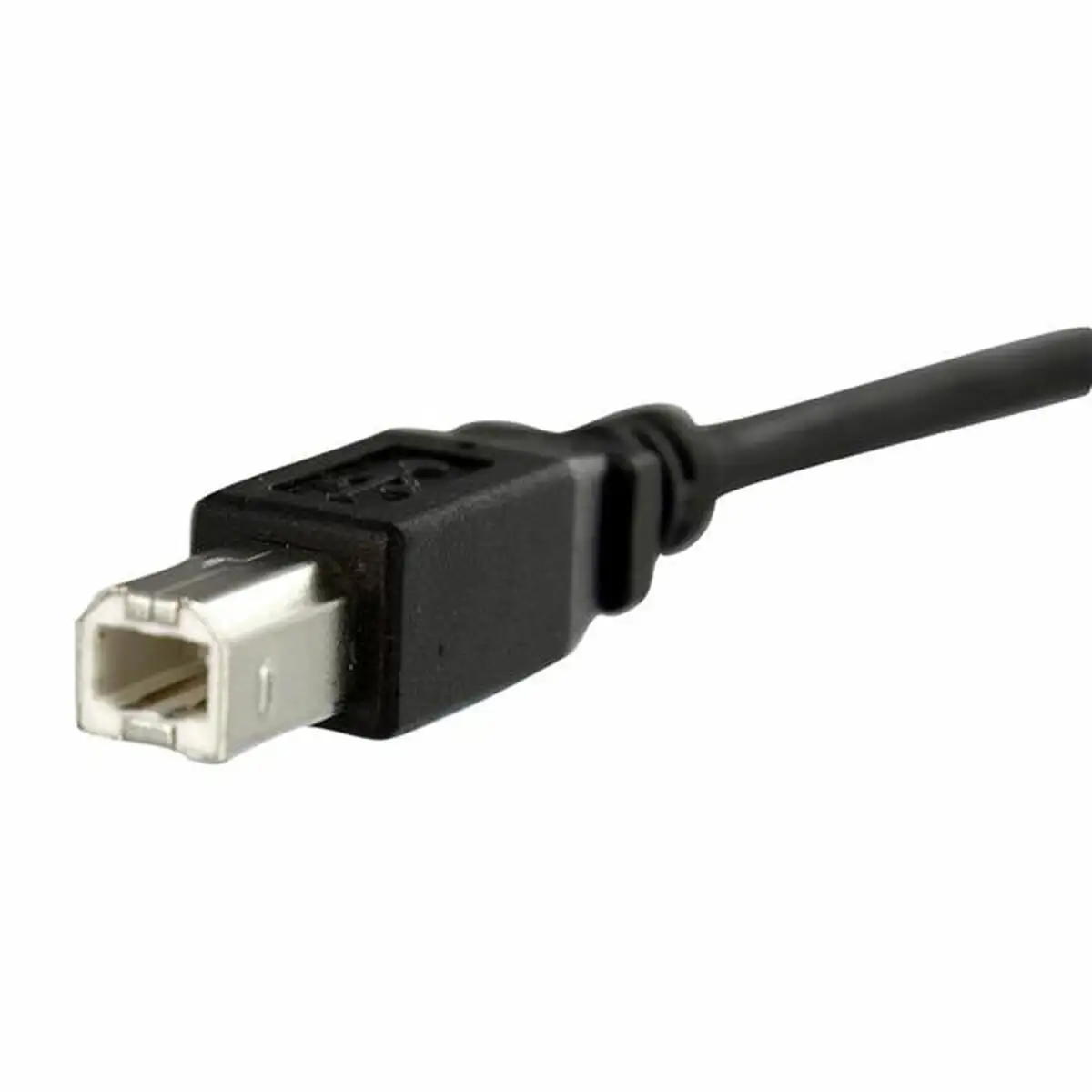 Cable usb startech usbpnlbfbm1 usb b noir_5879. DIAYTAR SENEGAL - L'Art de Choisir, l'Art de S'émerveiller. Explorez notre gamme de produits et laissez-vous émerveiller par des créations authentiques et des designs modernes.