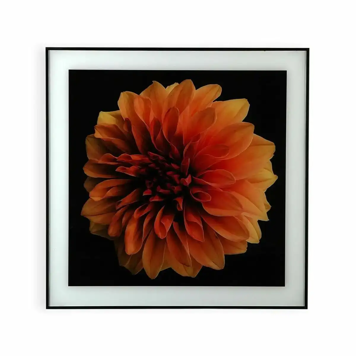 Cadre versa fleur verre polystyrene 2 x 60 x 40 cm _3363. DIAYTAR SENEGAL - Où Choisir est un Plaisir Responsable. Explorez notre boutique en ligne et adoptez des produits qui reflètent notre engagement envers la durabilité.