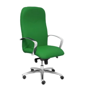 Chaise de bureau caudete p c 5dbsp15 vert_6457. DIAYTAR SENEGAL - Là où la Qualité est Non Négociable. Parcourez notre boutique en ligne pour découvrir des produits qui incarnent le raffinement et l'excellence du Sénégal.
