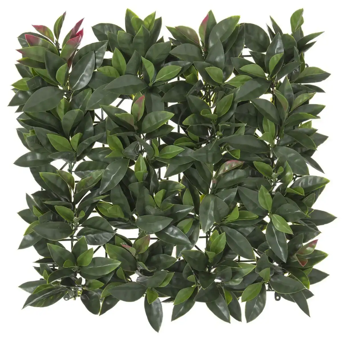 Cloture laurel 50 x 50 x 2 cm_4209. DIAYTAR SENEGAL - Votre Passage Vers l'Excellence Shopping. Découvrez un catalogue en ligne qui offre une expérience d'achat exceptionnelle, avec des produits soigneusement sélectionnés pour satisfaire tous les goûts.