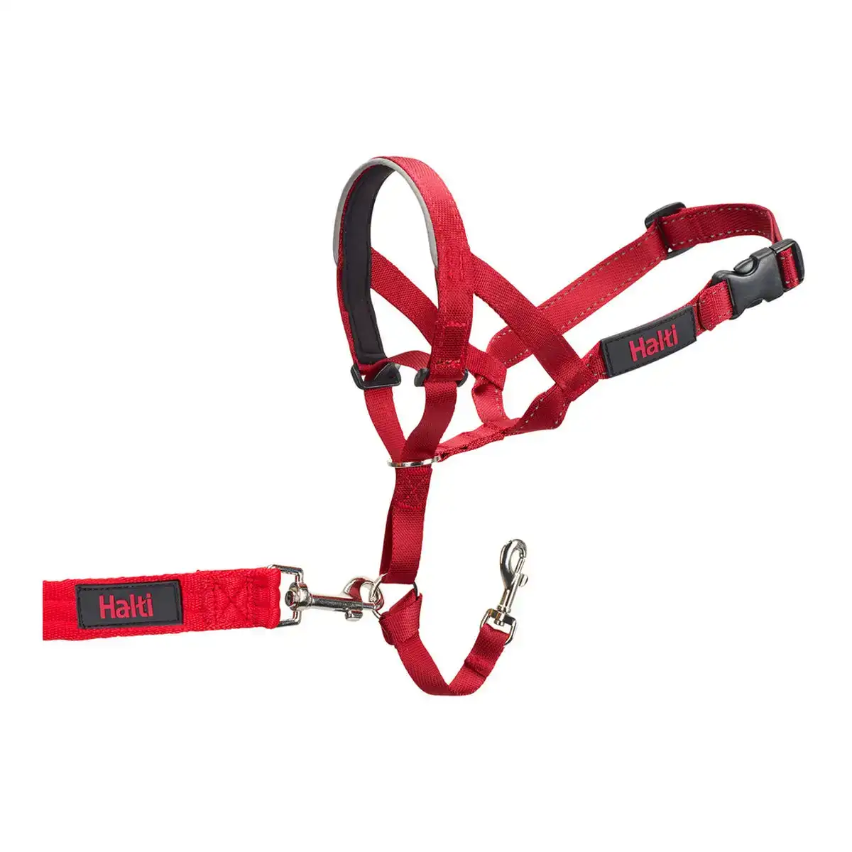 Collier d entrainement pour chiens company of animals halti museliere 31 40 cm _7286. DIAYTAR SENEGAL - Votre Destination Shopping Exquise. Explorez notre boutique en ligne et découvrez des trésors qui ajoutent une touche de sophistication à votre style et à votre espace.