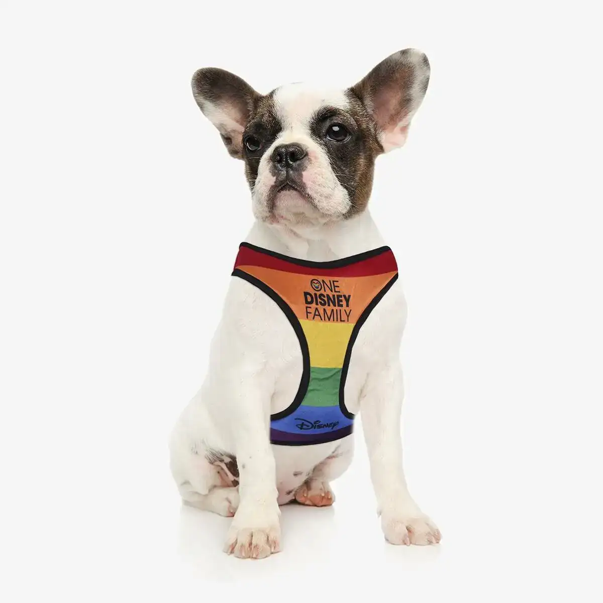 Similicuir blanc classique indique tc comme 132169c blanc 355 eu. DIAYTAR SENEGAL, votre destination en ligne pour des achats malins : explorez nos catégories variées telles que la maison, l'électroménager, l'informatique et la mode, et découvrez des produits discount à prix défiant toute concurrence. Faîtes-vous plaisir sans vous ruiner avec DIAYTAR SENEGAL !