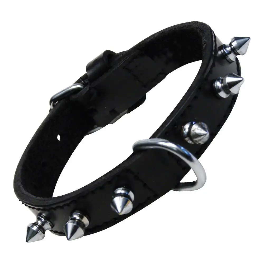 Collier pour chien gloria noir clous 30 cm _3848. DIAYTAR SENEGAL - Votre Destination Shopping pour Tous. Parcourez notre boutique en ligne et découvrez une variété de produits pour satisfaire tous vos besoins et désirs.