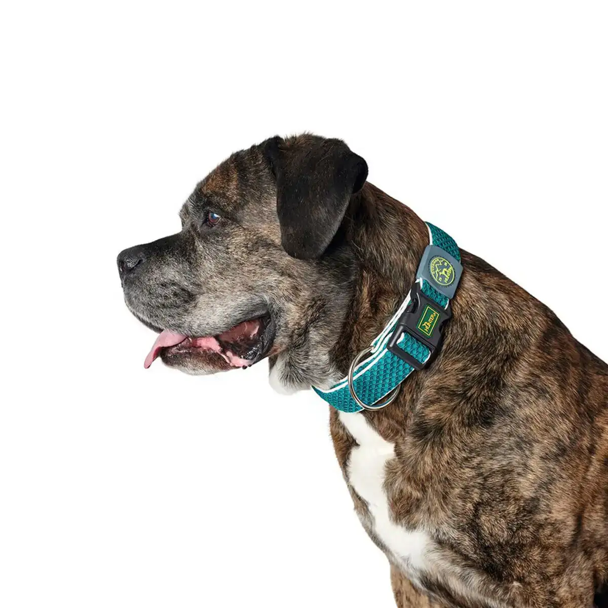 Collier pour chien hunter plus fil turquoise turquoise taille xl 45 70 cm _2422. DIAYTAR SENEGAL - Votre Passage vers l'Exceptionnel. Naviguez à travers notre sélection minutieuse et découvrez des articles qui apportent une touche spéciale à chaque instant de votre vie.