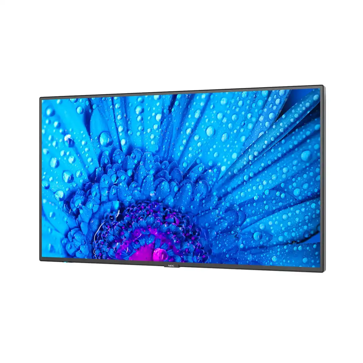 Ecran videowall nec 60005047 43 led ips edge led 60 hz 50 60 hz_9988. Bienvenue sur DIAYTAR SENEGAL - Là où Chaque Objet a une Âme. Plongez dans notre catalogue et trouvez des articles qui portent l'essence de l'artisanat et de la passion.