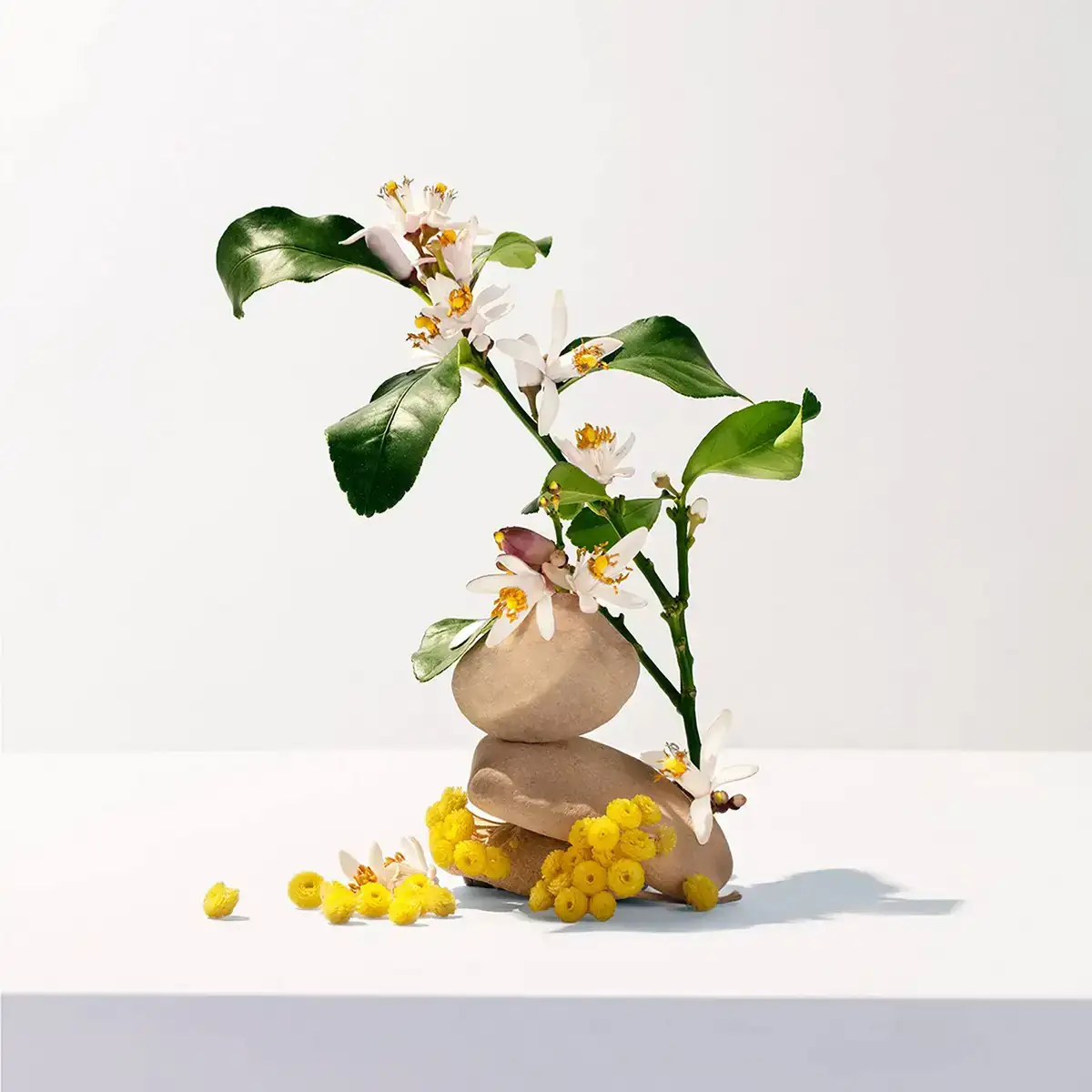 Gel de douche roger gallet neroli 200 ml _2337. Bienvenue sur DIAYTAR SENEGAL - Où Chaque Produit a son Histoire. Découvrez notre sélection unique et choisissez des articles qui racontent la richesse culturelle et artistique du Sénégal.