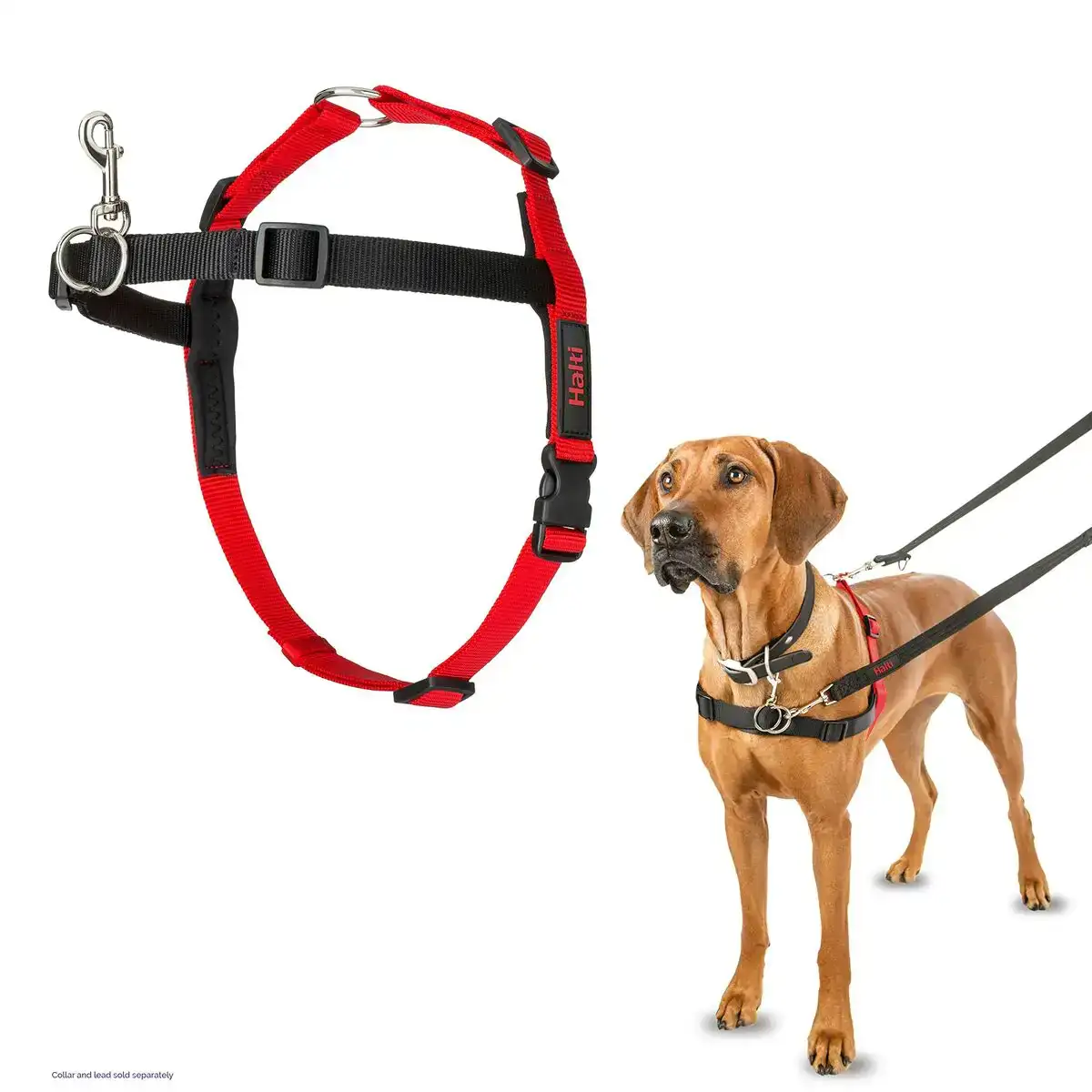 Harnais pour chien company of animals lh03 rouge noir reconditionne b _3015. Bienvenue sur DIAYTAR SENEGAL - Où le Shopping est une Affaire Personnelle. Découvrez notre sélection et choisissez des produits qui reflètent votre unicité et votre individualité.
