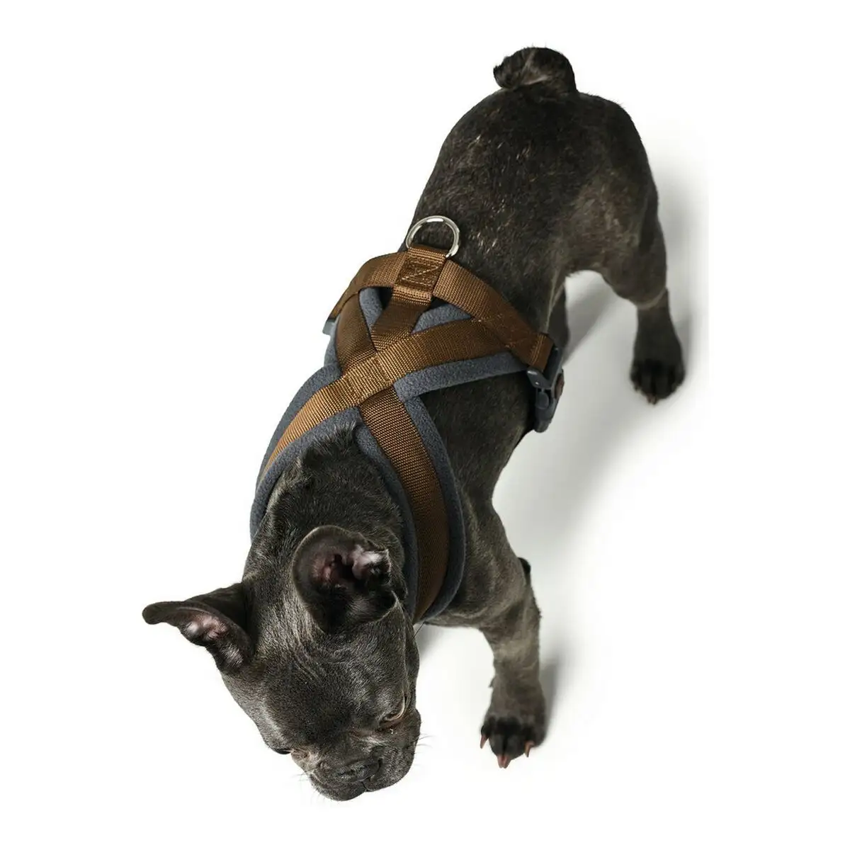 Harnais pour chien hunter london comfort 48 56 cm marron taille s m_7992. Entrez dans l'Univers de DIAYTAR SENEGAL - Où Choisir est un Voyage. Explorez notre gamme diversifiée et trouvez des articles qui répondent à tous vos besoins et envies.