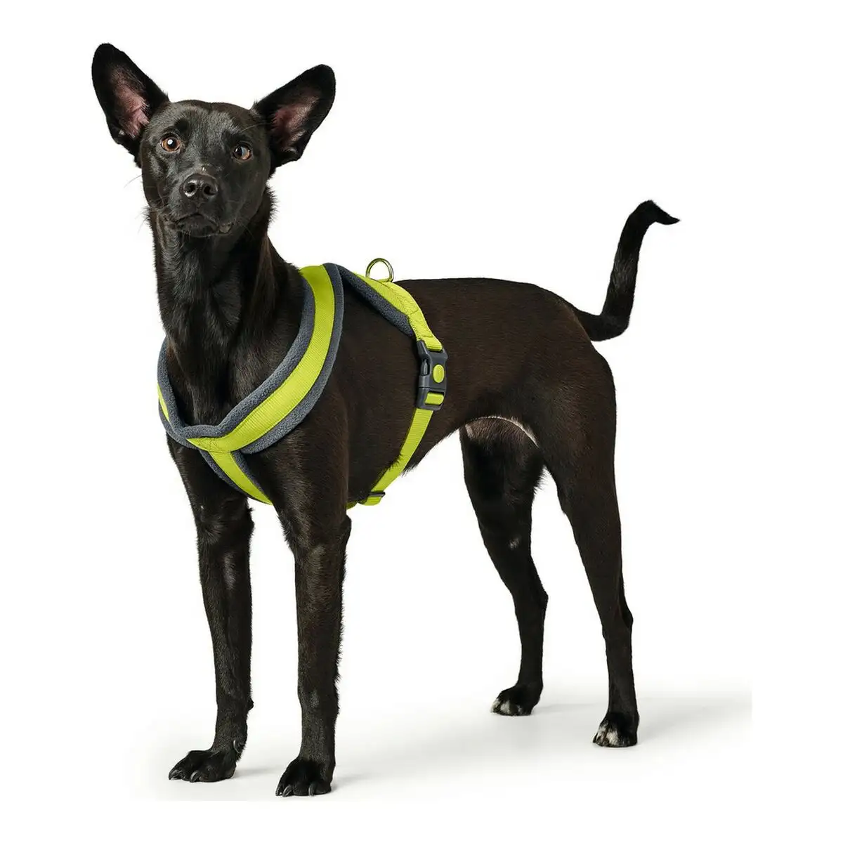 Harnais pour chien hunter london comfort xs s 39 47 cm citron_6846. Bienvenue chez DIAYTAR SENEGAL - Où le Shopping Devient un Voyage. Explorez notre plateforme pour dénicher des produits uniques, racontant l'histoire et l'âme du Sénégal.