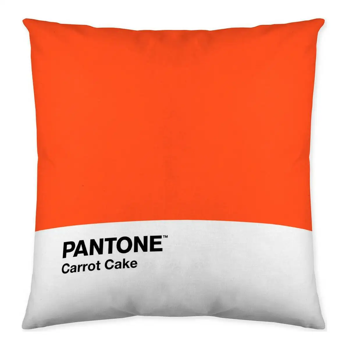 Housse de coussin fun deck a pantone localization b086jq9xyg reversible 50 x 50 cm _5016. Entrez dans l'Univers de DIAYTAR SENEGAL - Où Choisir est un Plaisir. Explorez notre catalogue diversifié et trouvez des articles qui reflètent vos goûts et votre personnalité.