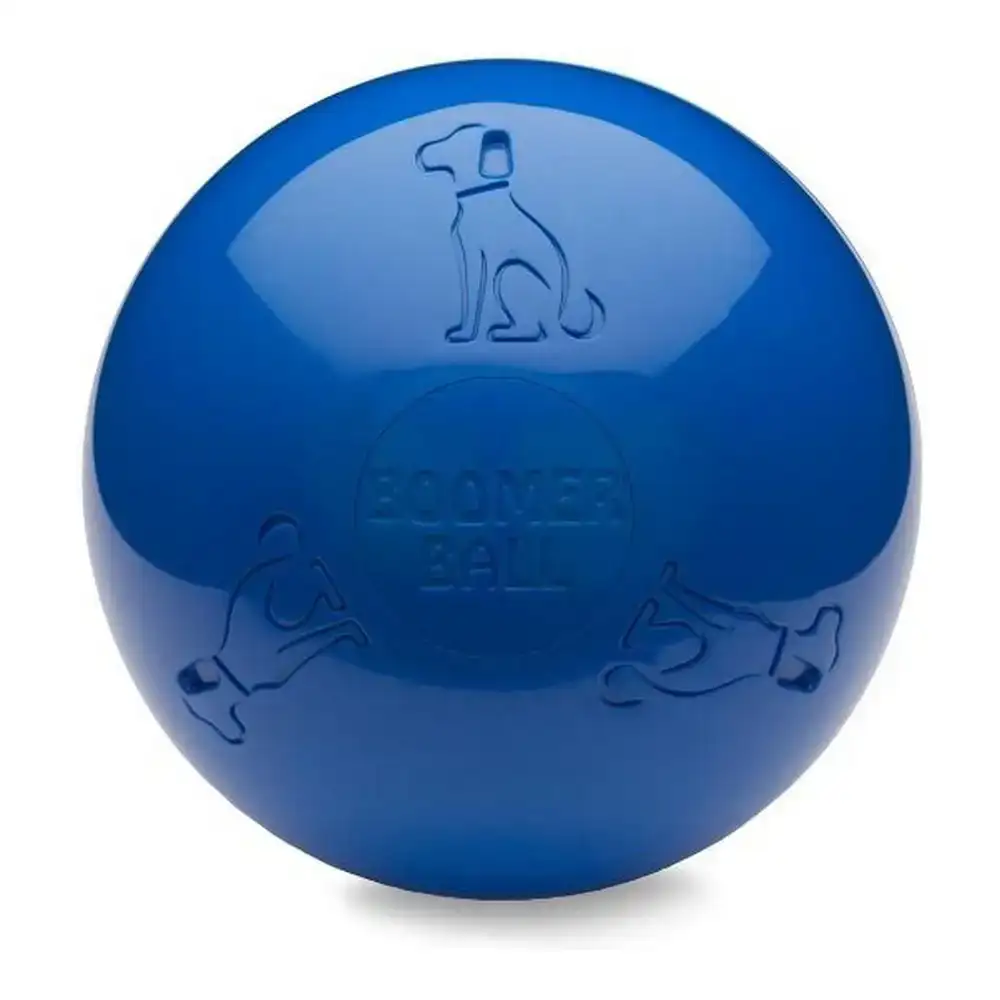 Jouet pour chien company of animals boomer bleu 200mm _2173. DIAYTAR SENEGAL - L'Univers de l'Élégance Accessible. Plongez dans notre catalogue et choisissez des produits qui allient sophistication et accessibilité pour un shopping exquis.