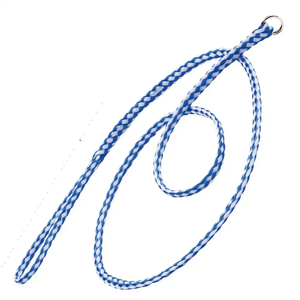 Laisse pour chien kvp 120 cm bleu blanc_9369. Bienvenue chez DIAYTAR SENEGAL - Où Choisir est une Invitation au Voyage. Explorez notre boutique en ligne et découvrez des produits qui vous transportent dans l'univers du Sénégal.