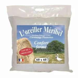 Oreiller dodo 60 x 60 cm 2 unites _6973. Entrez dans DIAYTAR SENEGAL - Où Chaque Détail Compte. Explorez notre boutique en ligne pour trouver des produits de haute qualité, soigneusement choisis pour répondre à vos besoins et vos désirs.