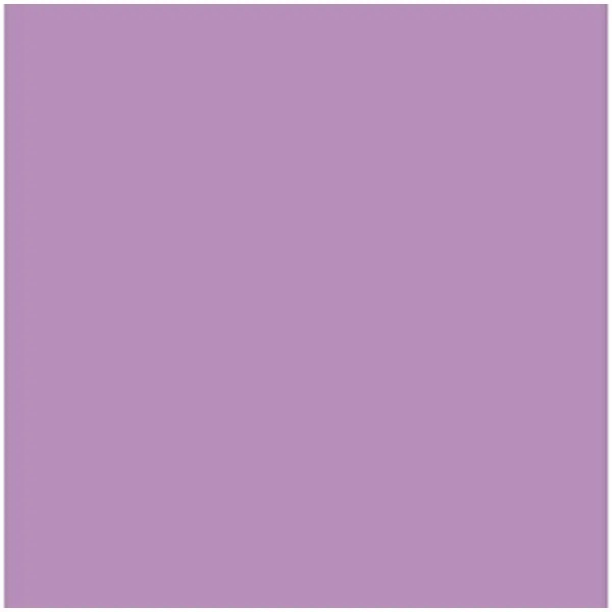Papier carton iris mauve 50 x 65 cm 25 unites _1141. DIAYTAR SENEGAL - Où Choisir Rime avec Qualité. Découvrez notre sélection soigneusement conçue et choisissez des articles qui incarnent l'excellence et l'innovation.