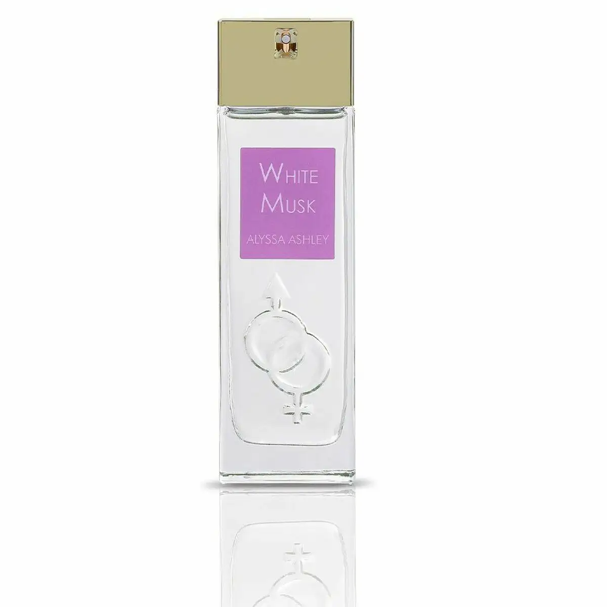 Parfum unisexe alyssa ashley white musk edp white musk 100 ml_3423. DIAYTAR SENEGAL - Où Choisir est un Plaisir. Explorez notre boutique en ligne et choisissez parmi des produits de qualité qui satisferont vos besoins et vos goûts.