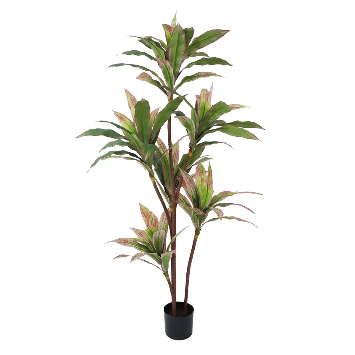 Plante decorative 160 cm dracaena vert_1650. DIAYTAR SENEGAL - Où Choisir est un Plaisir Responsable. Explorez notre boutique en ligne et adoptez des produits qui reflètent notre engagement envers la durabilité.