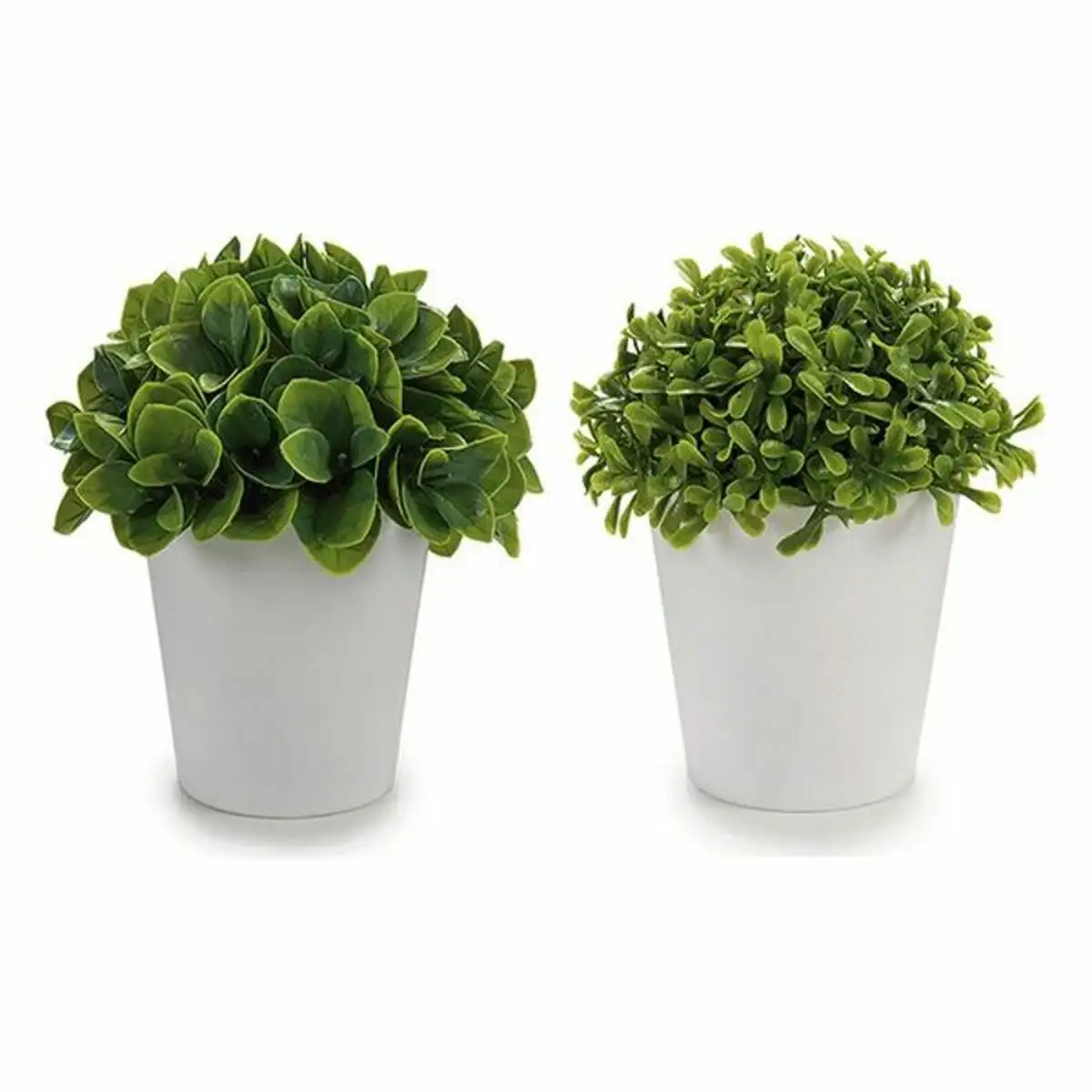 Plante decorative 8430852553041 blanc vert plastique 13 x 17 x 13 cm_8825. Bienvenue sur DIAYTAR SENEGAL - Où Chaque Article a son Histoire. Découvrez notre sélection méticuleuse de produits qui racontent l'authenticité et la beauté du Sénégal.