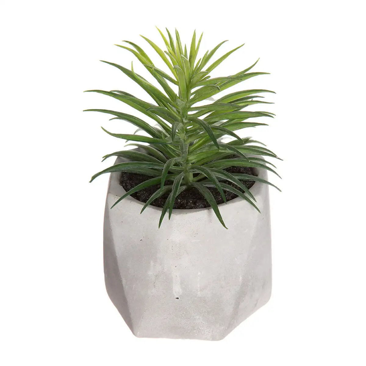 Plante decorative atmosphera 7 x 14 cm vert pvc_8903. Entrez dans l'Univers de DIAYTAR SENEGAL - Où Choisir est un Voyage. Explorez notre gamme diversifiée et trouvez des articles qui répondent à tous vos besoins et envies.