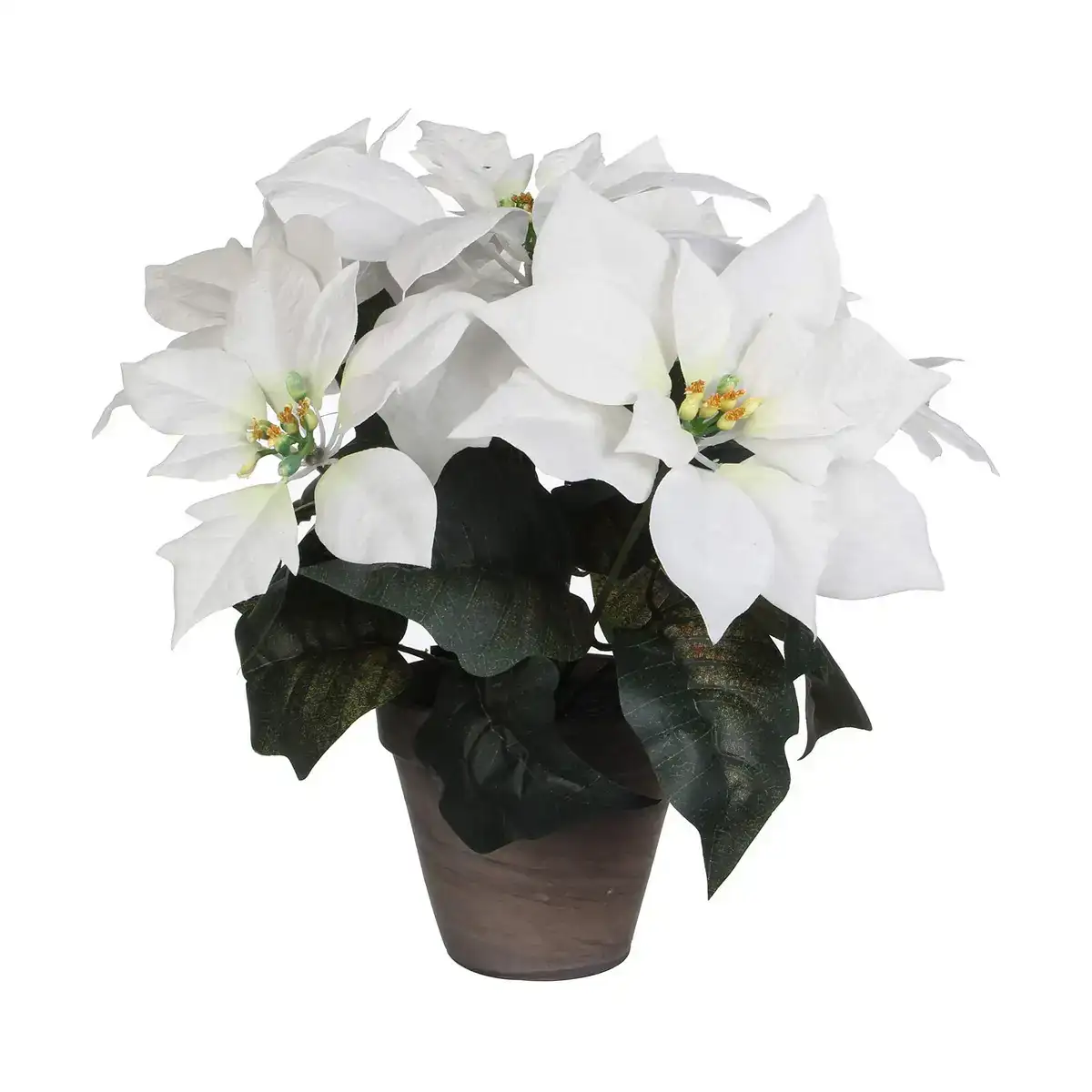 Plante decorative blanc pvc 27 x 35 cm _2853. DIAYTAR SENEGAL - L'Art de Vivre le Shopping en Ligne. Découvrez notre plateforme intuitive et trouvez des produits qui vous inspirent et vous enchantent, à chaque clic.