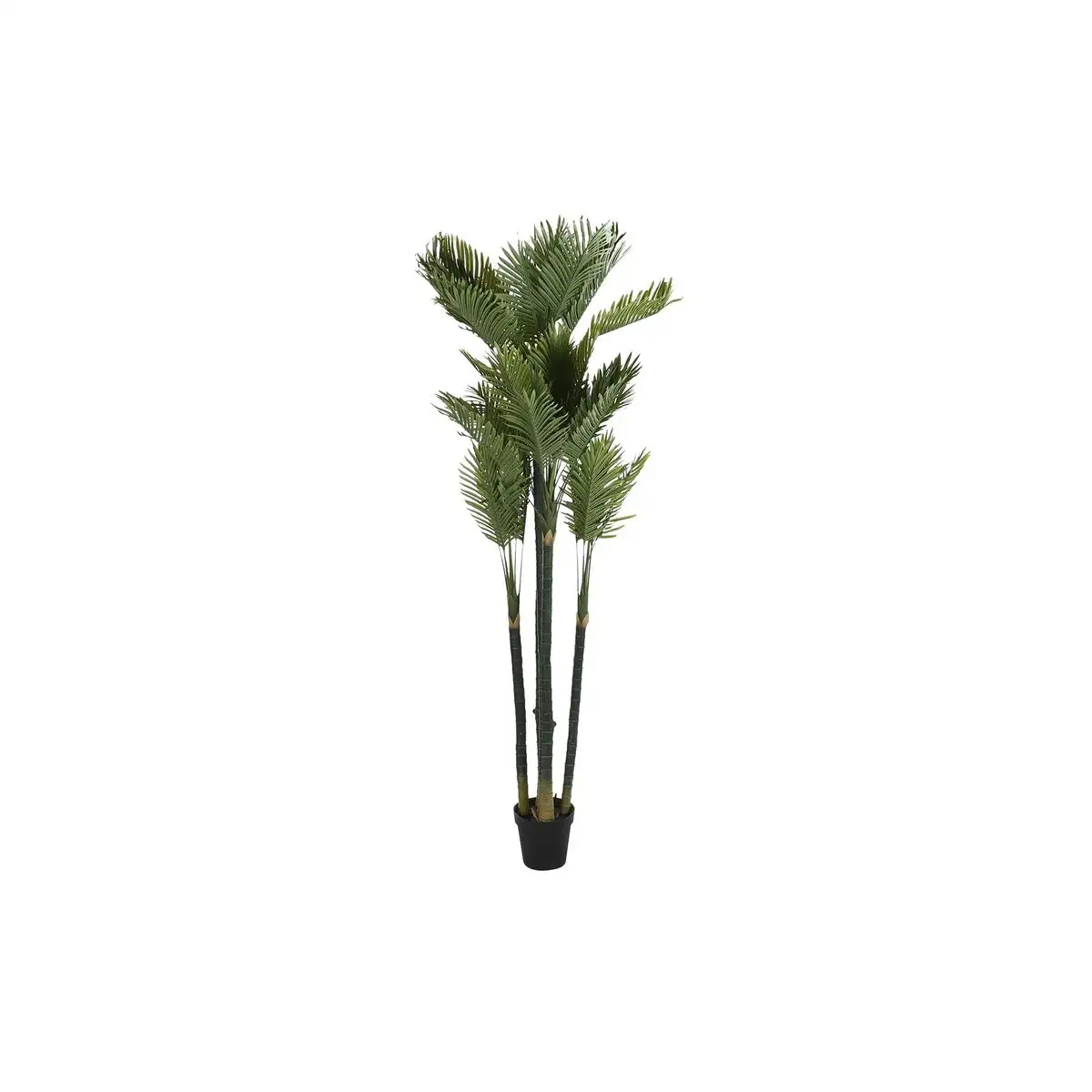 Plante decorative dkd home decor palmier 100 x 100 x 230 cm _2901. DIAYTAR SENEGAL - Où Choisir est une Célébration. Découvrez notre sélection de produits qui représentent la diversité et la joie du Sénégal, à chaque étape de votre vie.