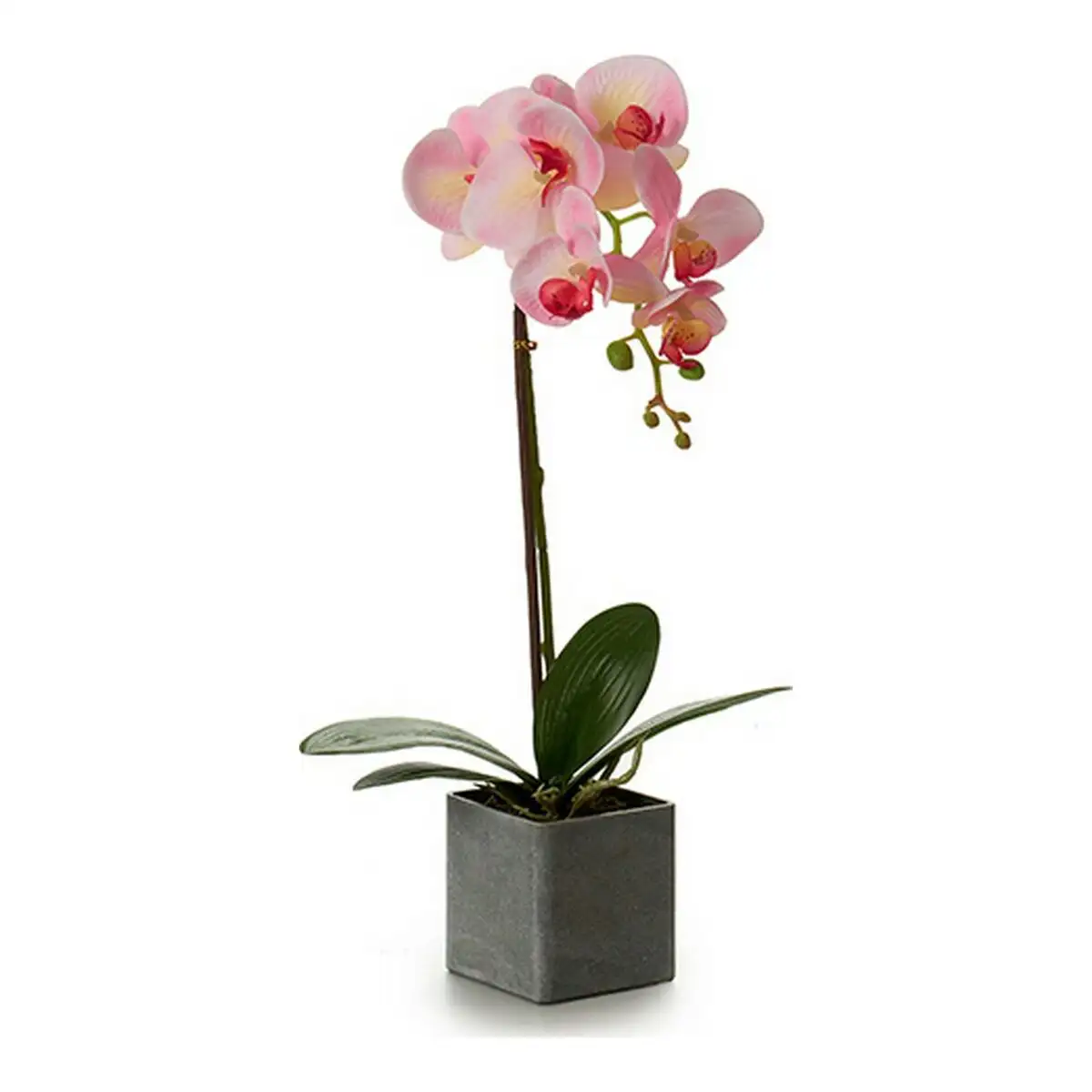 Plante decorative orchidee 15 x 43 x 18 cm plastique_2489. DIAYTAR SENEGAL - Votre Paradis Shopping au Cœur du Sénégal. Explorez notre boutique en ligne et découvrez des produits conçus pour enchanter chaque aspect de votre vie.