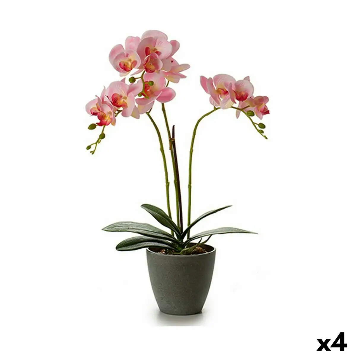 Plante decorative orchidee 19 x 48 x 24 cm plastique 4 unites _2505. DIAYTAR SENEGAL - Votre Destination Shopping d'Exception. Parcourez nos rayons virtuels et choisissez des produits qui incarnent l'excellence et la diversité.