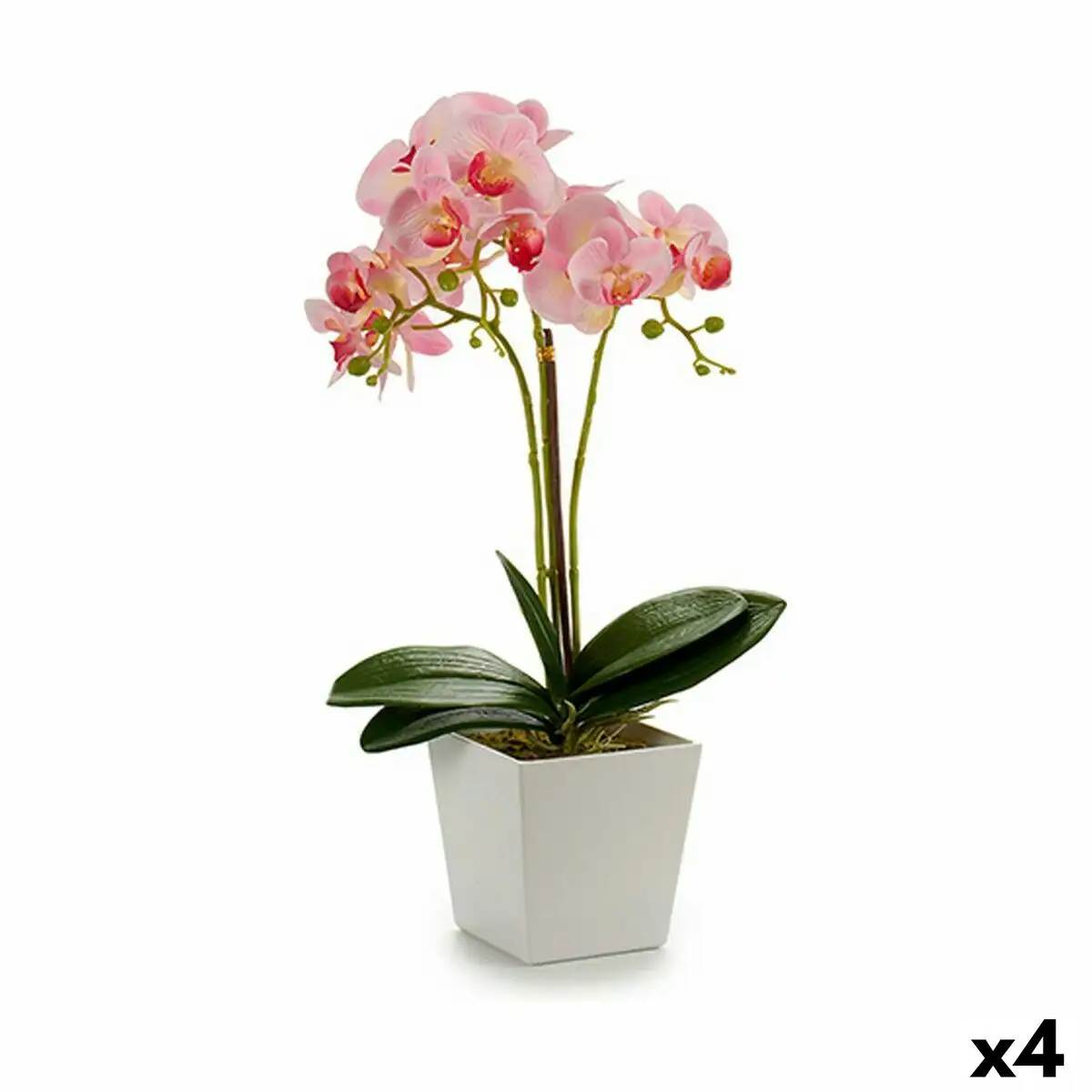 Plante decorative orchidee 20 x 47 x 33 cm plastique 4 unites _5747. Entrez dans l'Univers de DIAYTAR SENEGAL - Où l'Élégance et la Variété se Rencontrent. Parcourez notre catalogue pour dénicher des articles qui ajoutent une touche d'élégance à votre vie.
