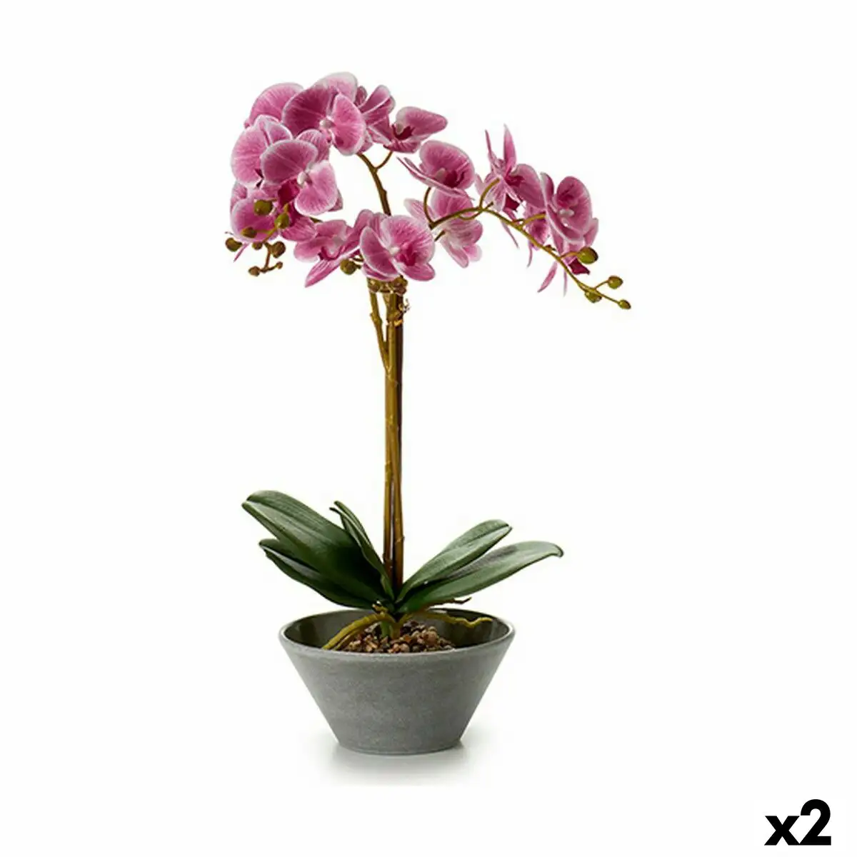 Plante decorative orchidee 20 x 60 x 28 cm 2 unites _5924. DIAYTAR SENEGAL - Votre Passage vers l'Éclat et la Beauté. Explorez notre boutique en ligne et trouvez des produits qui subliment votre apparence et votre espace.